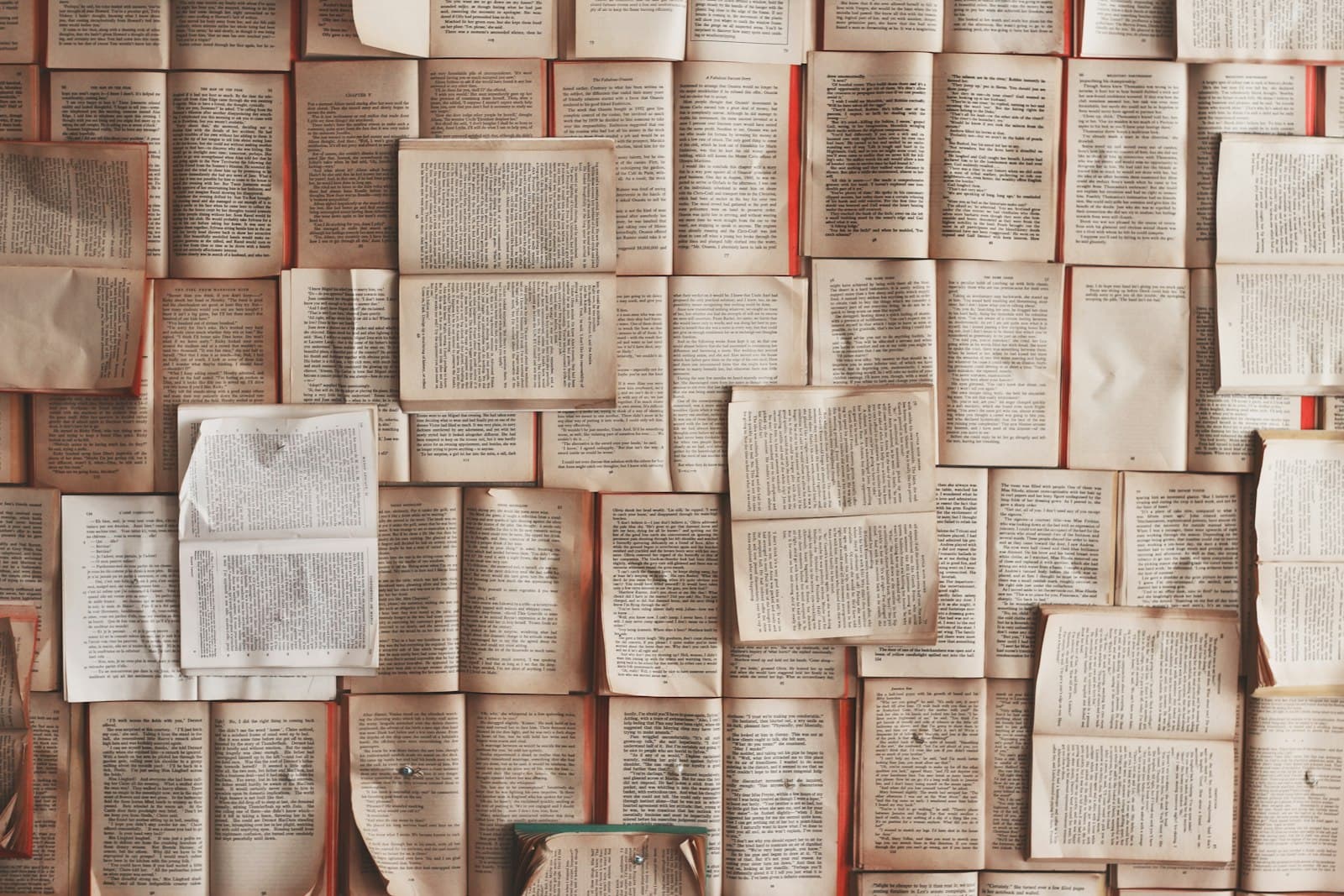 The six things admissions officers actually grade college essays on